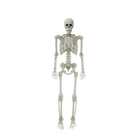 5ft White Poseable Skeleton Decoration, Halloween Outdoor Decor